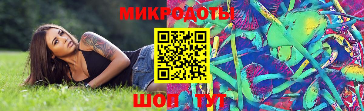 Псилоцибиновые грибы Psilocybine cubensis Мурино